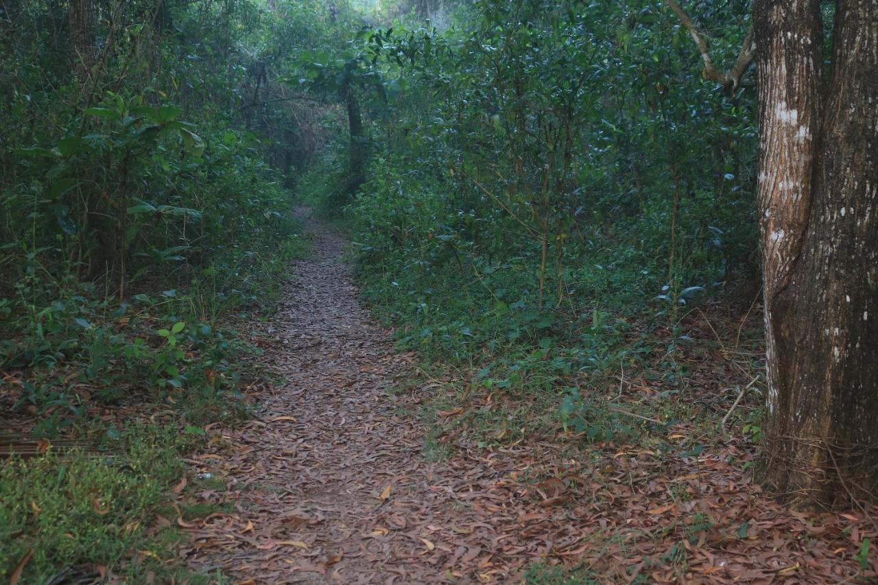 Arakkal Heritage Mararikulam Bagian luar foto